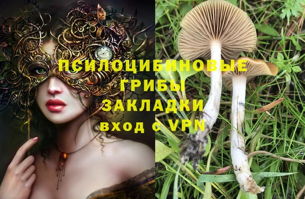 метадон Новозыбков
