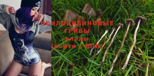 метадон Новозыбков