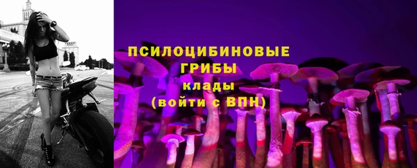 таблы Новодвинск