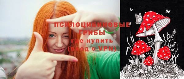 гидра Нея